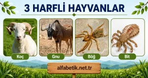 3 Harfli Hayvanlar – Üç Harfli Olan Hayvanlar Neler?