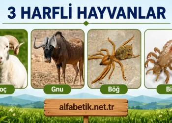 3 Harfli Hayvanlar – Üç Harfli Olan Hayvanlar Neler?