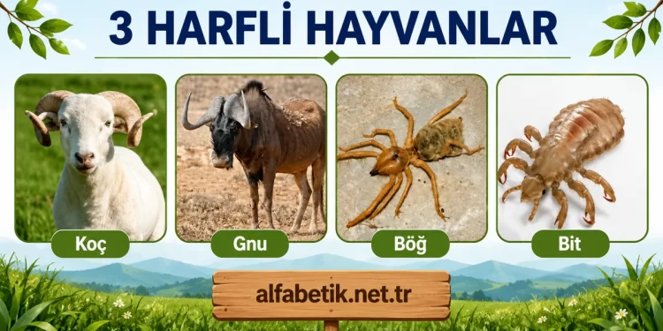 3 Harfli Hayvanlar – Üç Harfli Olan Hayvanlar Neler?