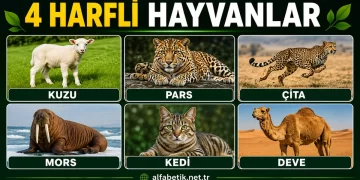 4 Harfli Hayvanlar – Türlerine Göre Dört Harfli Hayvanlar Neler?