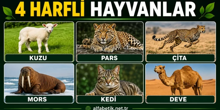 4 Harfli Hayvanlar – Türlerine Göre Dört Harfli Hayvanlar Neler?