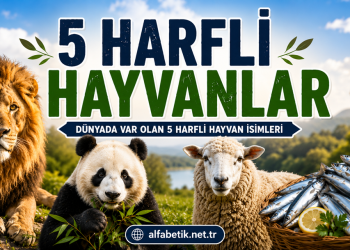 5 Harfli Hayvanlar Neler? Hangi Hayvanlar 5 Harfli? Güncel Liste