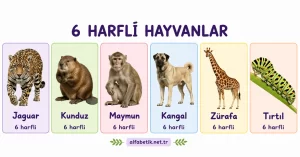 6 Harfli Hayvan İsimleri – Türkçe ve İngilizce 6 Harfli Hayvan İsimleri