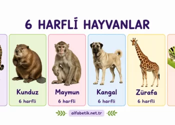 6 Harfli Hayvan İsimleri – Türkçe ve İngilizce 6 Harfli Hayvan İsimleri