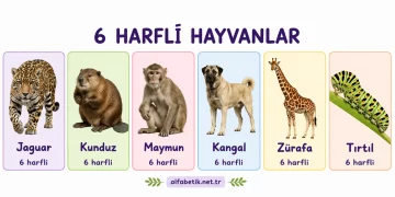 6 Harfli Hayvan İsimleri – Türkçe ve İngilizce 6 Harfli Hayvan İsimleri