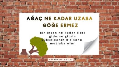 Ağaç ne kadar uzasa göğe ermez