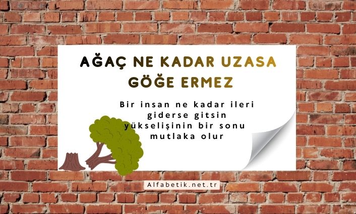 Ağaç ne kadar uzasa göğe ermez