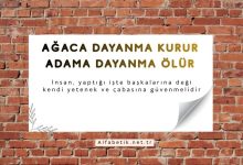 Ağaca dayanma kurur adama dayanma ölür
