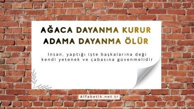 Ağaca dayanma kurur adama dayanma ölür
