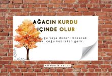 Ağacın kurdu içinde olur