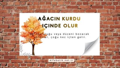 Ağacın kurdu içinde olur