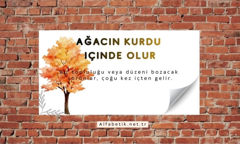 Ağacın kurdu içinde olur