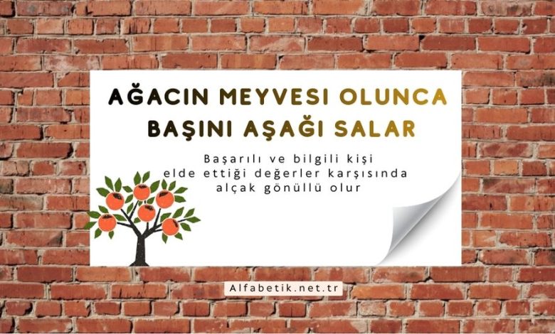 Ağacın meyvesi olunca, başını aşağı salar