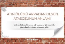 Atın ölümü arpadan olsun atasözünün anlamı