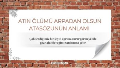 Atın ölümü arpadan olsun atasözünün anlamı