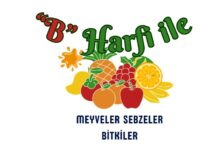 B ile başlayan meyveler sebzeler ve bitkiler