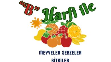 B ile başlayan meyveler sebzeler ve bitkiler