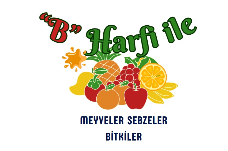 B ile başlayan meyveler sebzeler ve bitkiler