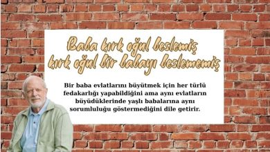 Baba kırk oğul beslemiş, kırk oğul bir babayı beslememiş