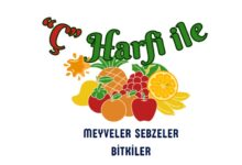 Ç ile başlayan meyveler sebzeler ve bitkiler