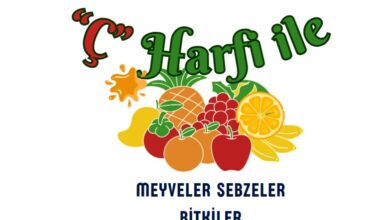 Ç ile başlayan meyveler sebzeler ve bitkiler
