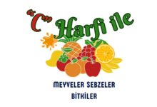 C ile başlayan meyveler sebzeler ve bitkiler