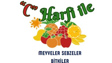 C ile başlayan meyveler sebzeler ve bitkiler