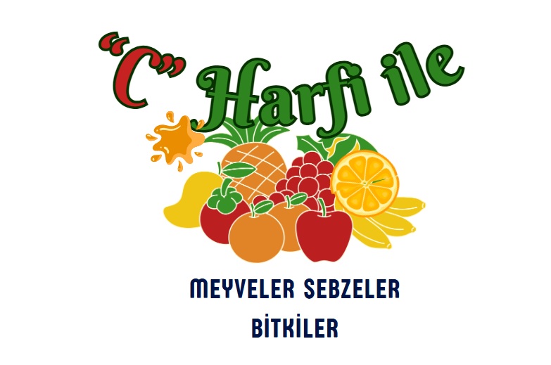 C ile başlayan meyveler sebzeler ve bitkiler