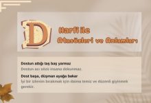 D ile atasözleri