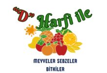 D ile başlayan meyveler sebzeler ve bitkiler