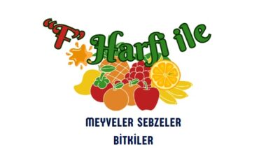 F ile meyveler sebzeler bitkiler