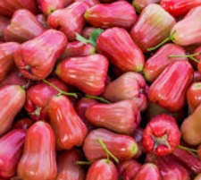 Jambu