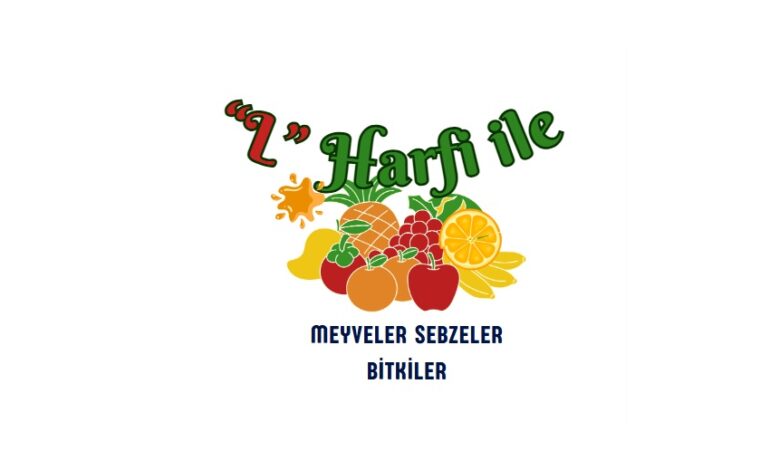 L ile meyveler sebzeler bitkler