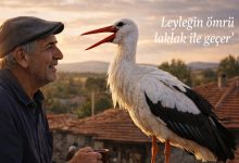 Leylegin ömrü laklak ile geçer