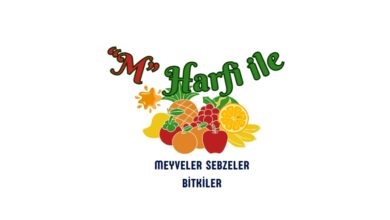 M ile meyveler sebzeler bitkler