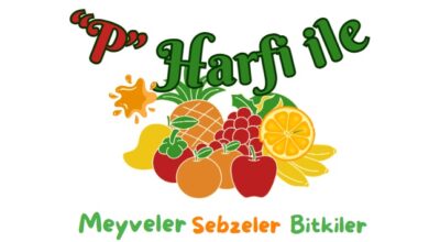 P harfi ile meyveler sebzeler bitkiler