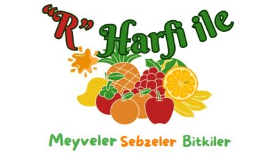 R harfi ile meyveler sebzeler bitkiler