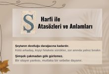 Ş harfi ile başlayan atasözleri ve anlamları
