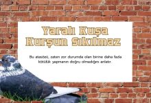 Yaralı Kuşa Kurşun Sıkılmaz