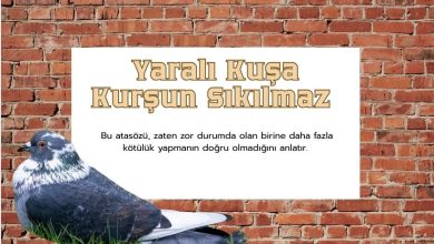 Yaralı Kuşa Kurşun Sıkılmaz