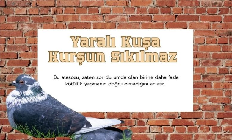 Yaralı Kuşa Kurşun Sıkılmaz