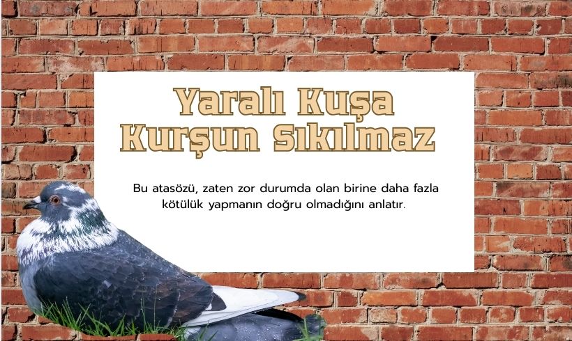 Yaralı Kuşa Kurşun Sıkılmaz