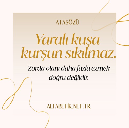 Yaralı kuşa kurşun sıkılmaz