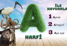 a ile hayvanlar