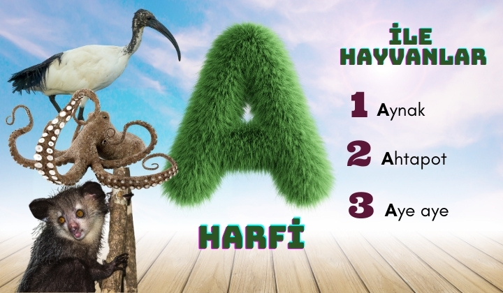 a ile hayvanlar