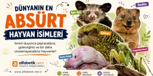 Bir Hayvana Bu İsim Neden Verilmiş? İşte En Absürt Hayvan İsimleri