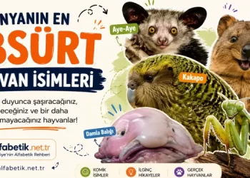 absurt-isimli-hayvanlar