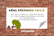 ağaç kökünden yıkılır