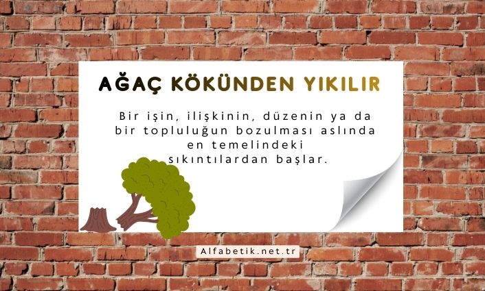ağaç kökünden yıkılır