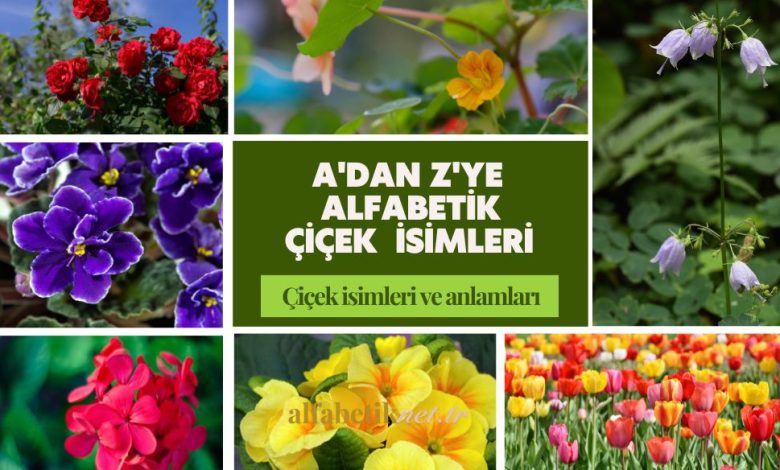 alfabetik-cicek-isimleri